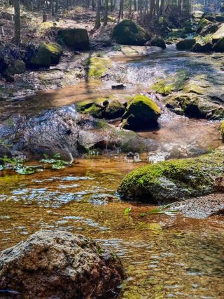合肥周辺の春の逃避行に1時間で直行できる5つの神スポット！人が少なく景色が美しくて感動的