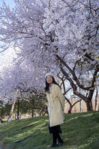 베이징 숨겨진 꽃놀이 명소 | 지먼교에 숨겨진 아름다운 산복숭아 숲, 사람 적고 사진 찍기 최고
