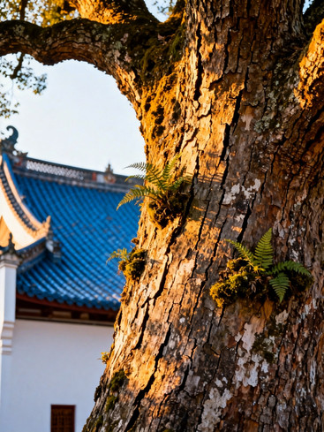道吾山(溪谷轻徒步) 参考图 3