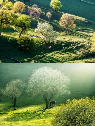 宝鶏人がこっそり教える7つの山水の秘境！仙山から草原まで