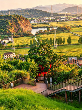Haiyan Fengyi Adventure｜A Healing Rural Secret Just 1 Hour from Jiangsu, Zhejiang & Shanghai