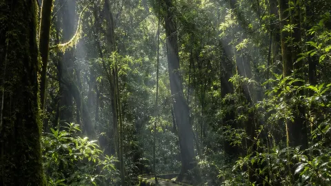 2-hour journey from Kunming to a cool secret paradise in Southern Yunnan: Honghe's summer offers rainforests, terraced fields, and stories. — traveler post in Jinping