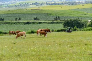 穿越林海草甸，醉美御道口桃山湖草原風光