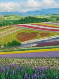 暑假5日日本遊保姆級攻略