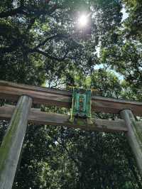 日本10日遊攻略|錯峰玩超省心