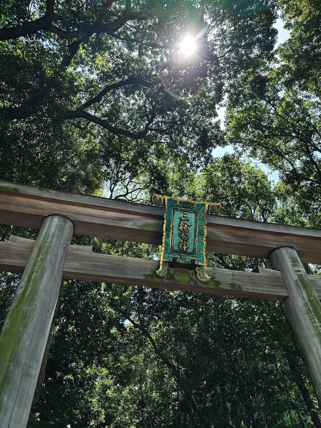 日本10日遊攻略|錯峰玩超省心