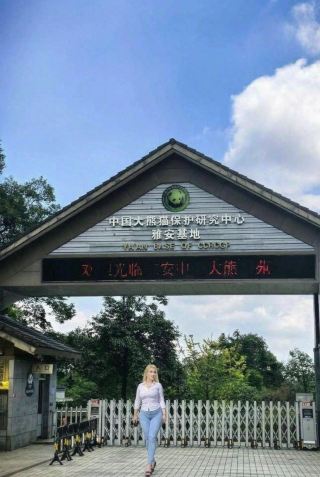 비펑샤 판다 가이드