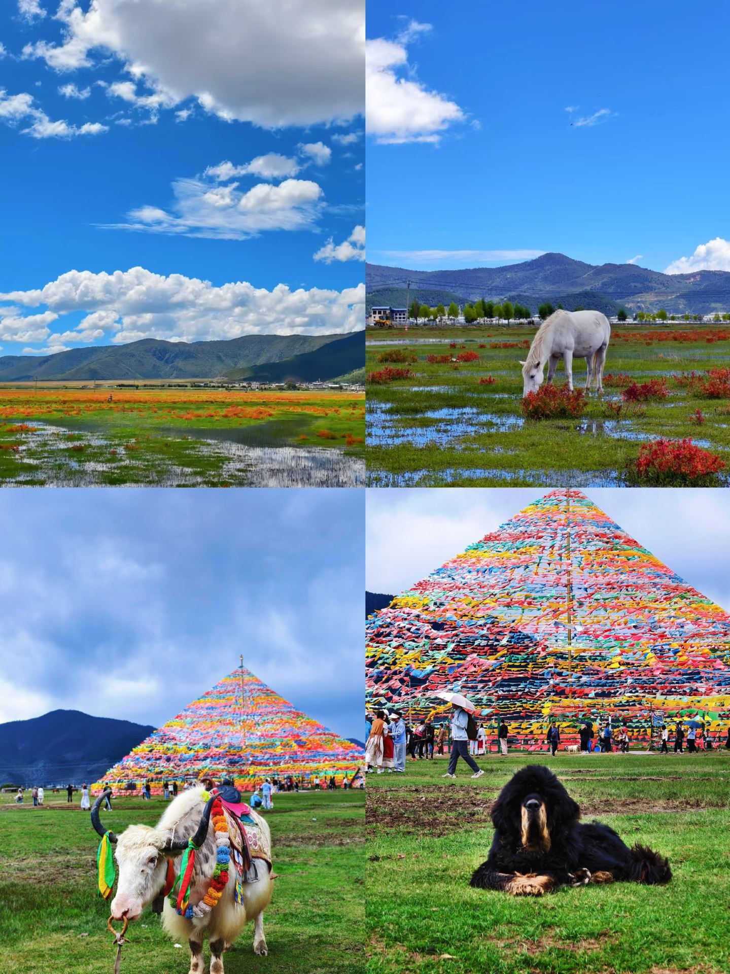 Back from Shangri-La and I've learned my lesson—here's how to avoid the pitfalls