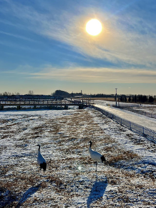 A National Day trip to Mudanjiang-Yanbian-Harbin is totally worth it! Copy this itinerary directly