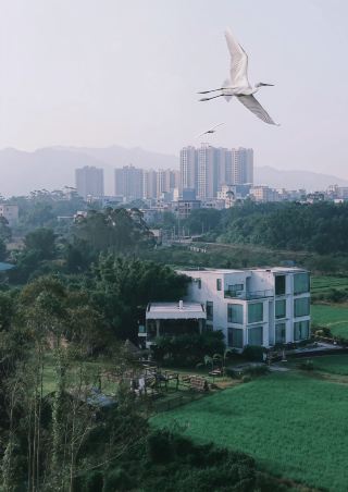 恩平呢間民宿可以喺大自然入面安穩咁嚟一個深度睡眠