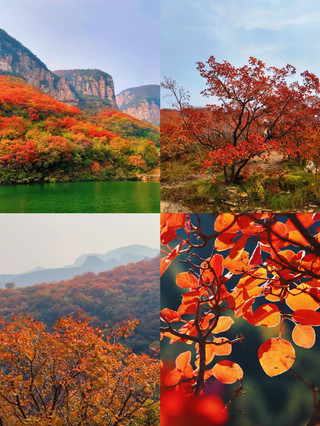 Just back from Shijiazhuang! Don't wander aimlessly—use this money-saving guide to avoid tourist traps!