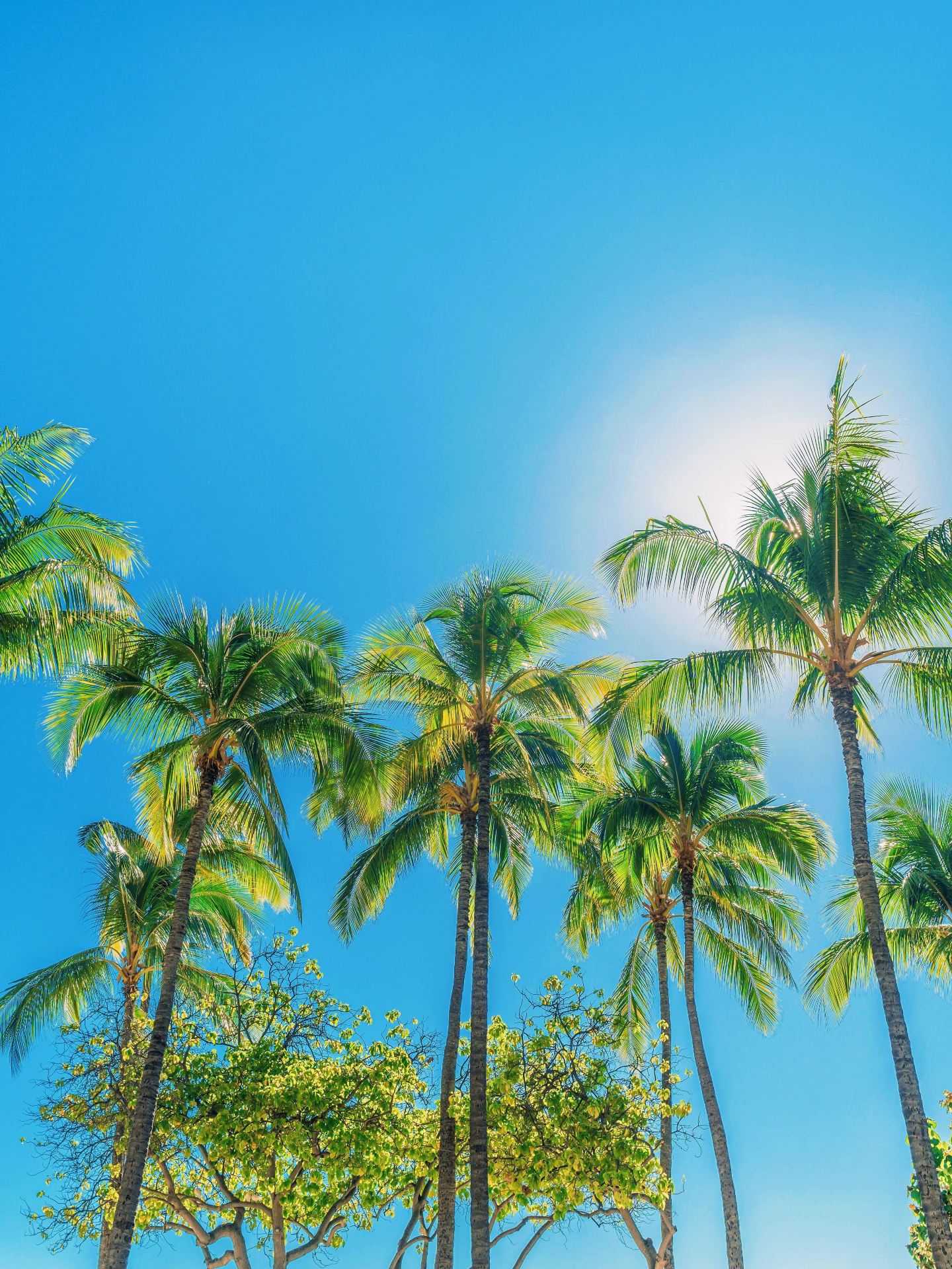 Don't miss this guide for your US trip this October holiday