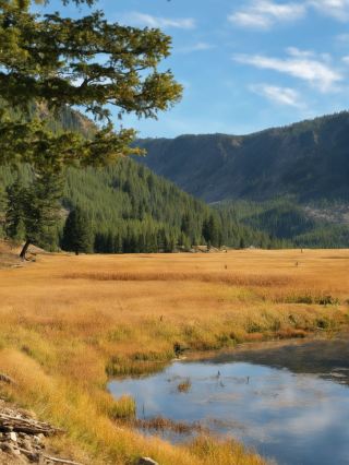 Everyone's asking about this 5-day US autumn itinerary