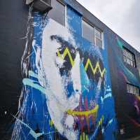 Taupo, a day walk without the dive or both