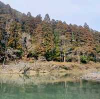 嵐山最在地的體驗【保津川遊船】