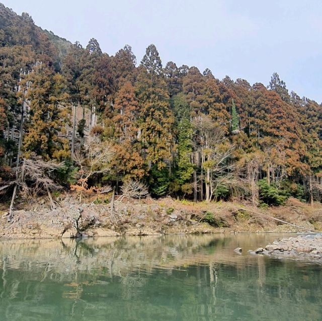 嵐山最在地的體驗【保津川遊船】