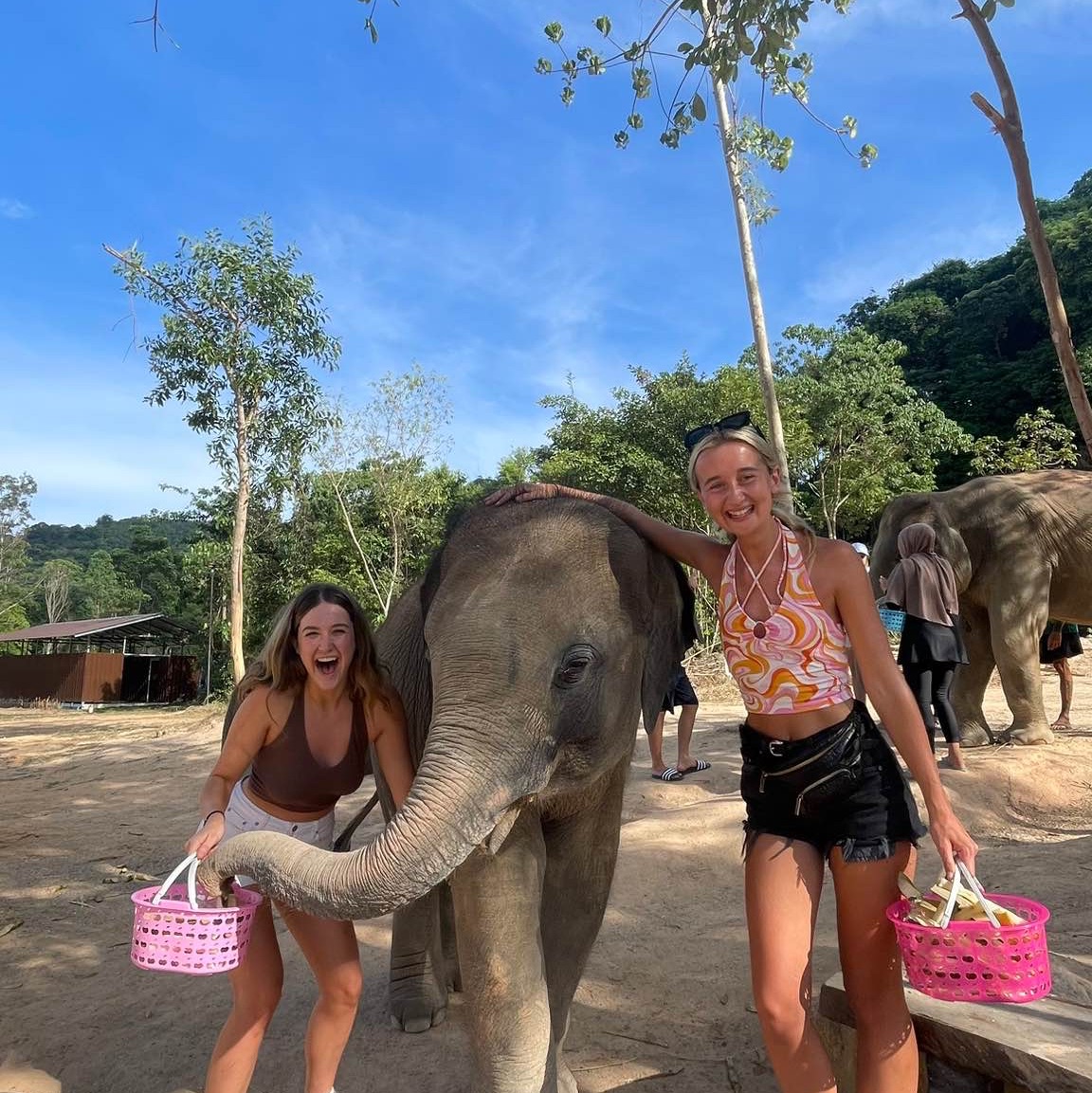Vision Green Elephant park sanctuary Phuket  Phuket Travelogues