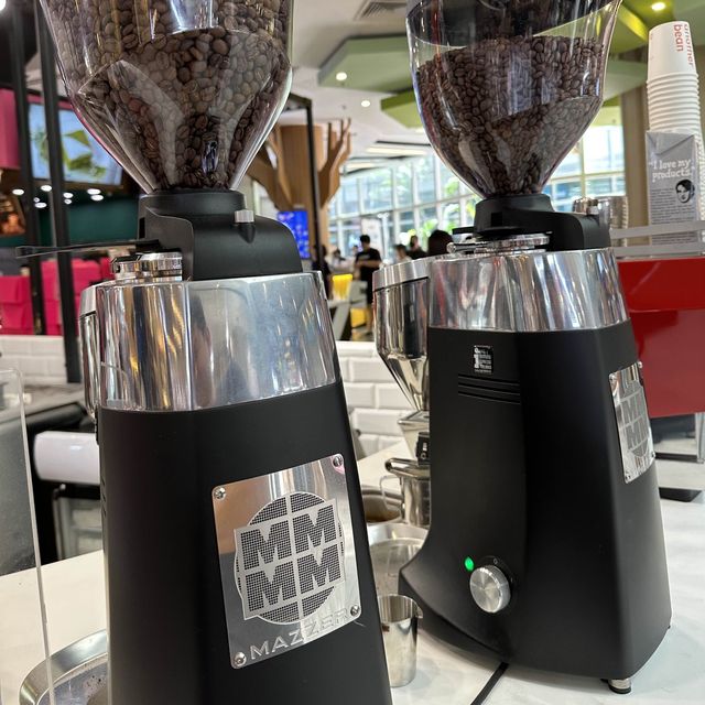 Next Level Coffee Beans