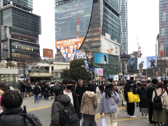 도쿄 3大 상권, ’시부야‘ 주말 거리풍경 스케치!