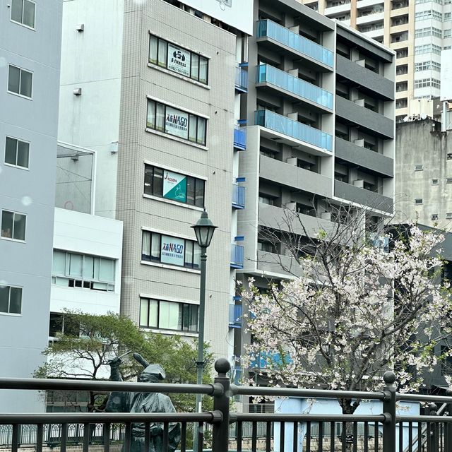 大阪自駕遊》名古屋 🚘〉東京 大阪自駕遊》名古屋 🚘〉東京
