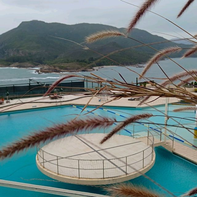 優化之後的日式庭院 , 鯉魚池和假山 , 石頭池...