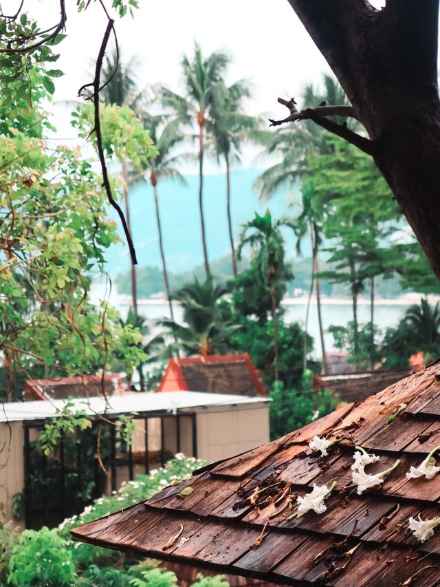 Casa De Mar Hotel, Koh Samui✈️🇹🇭💭