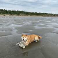新月沙灘 🏖️ 在竹北