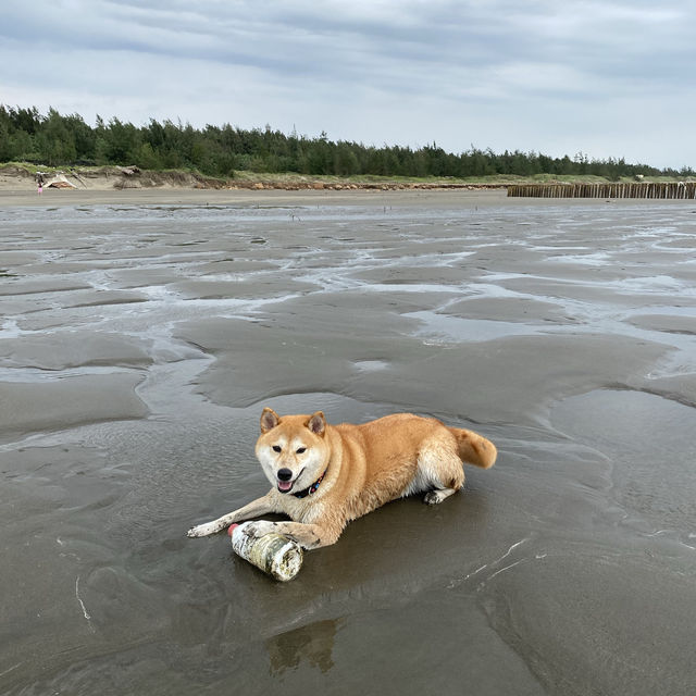 新月沙灘 🏖️ 在竹北