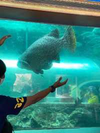 🐠พิพิธภัณฑ์สัตว์น้ำอ่าวคุ้งกระเบน จันทบุรี🐠