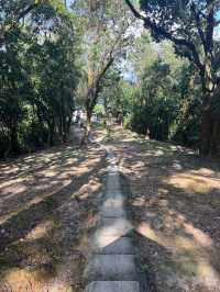 Easy Hike in Shatin - Tao Fung Shan