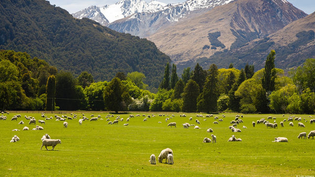 New Zealand – Landscapes For Nature Lovers