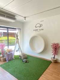 🏯Kame Cafe คาเฟ่ญี่ปุ่น กับบิงซูสุดฟิน🍧💕