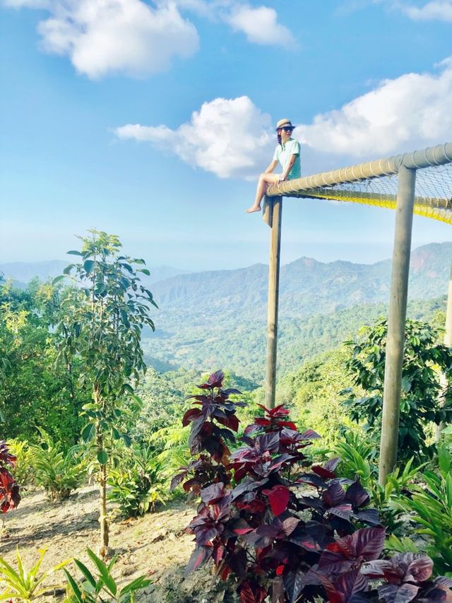 Coffee Scenery tour in Minca, Colombia