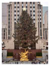 Rockefeller’s Symphony: Pure Harmony!