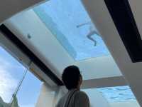 深圳坪山區no.1 —深圳一粟山溪美宿