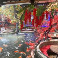 คาเฟ่ปลาคาร์ฟนับพันตัว - Carp Cafe