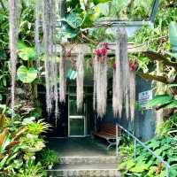 【熱川バナナワニ園】たくさんの熱帯植物に癒される