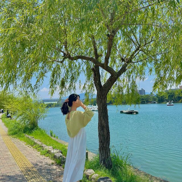 넓은 공원과 호수 여유를 즐길 수 있는 오호리공원