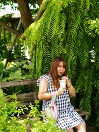 คาเฟ่กลางสวนดอกไม้ Lifehouse Cafe ฉะเชิงเทรา