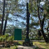 A Paradise in the City of Pines