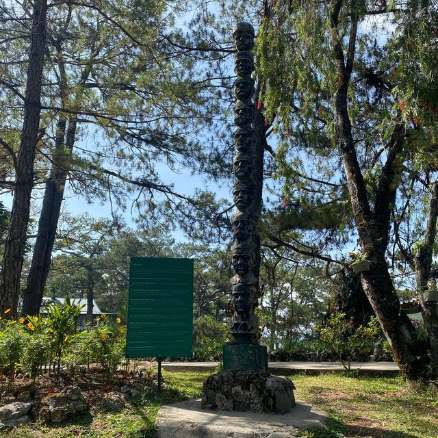 A Paradise in the City of Pines