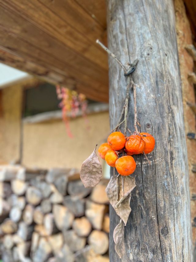 포항 숲속뷰 치앙마이감성 선류산장🌸