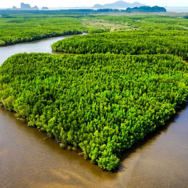 เที่ยวตรัง 🌿🍀🍃🌱