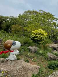 [제주도] 귀여운 스누피로 가득한 스누피 가든!🐾