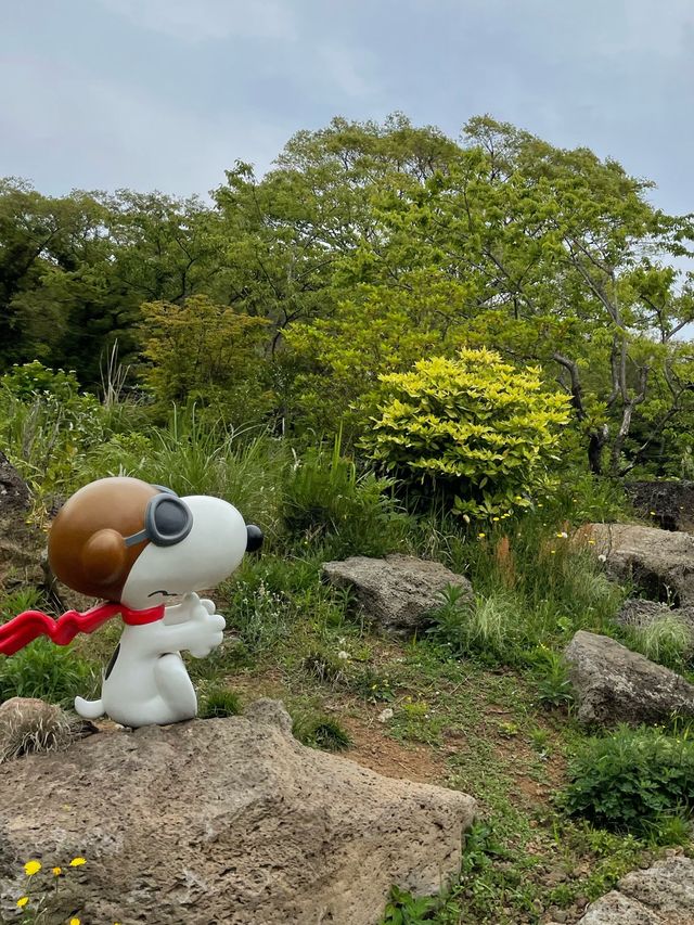 [제주도] 귀여운 스누피로 가득한 스누피 가든!🐾