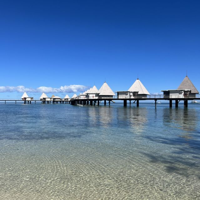 メトル島で憧れの水上コテージ🏝️