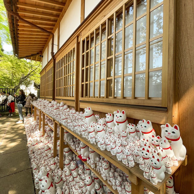 Gotokuji Temple in Setagaya Tokyo Japan