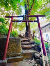 【東京都/上目黒氷川神社】首都高の目線にある神社