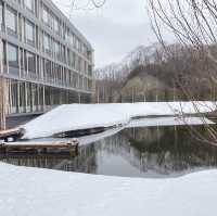 《北海道》星野リゾート・一面雪景色💫