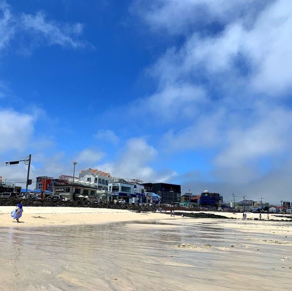 제주도 예쁜 바다, “월정리 해수욕장”🌊